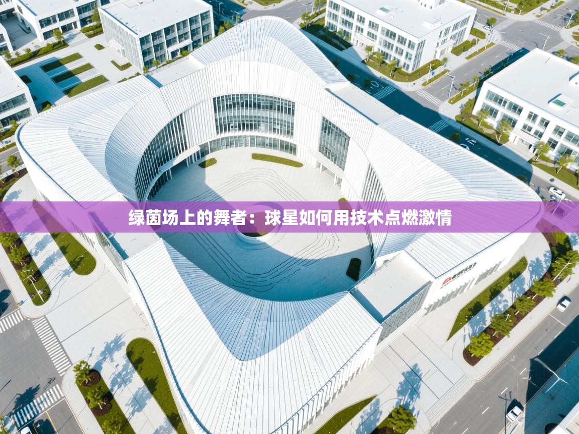 绿茵场上的舞者：球星如何用技术点燃激情  第1张