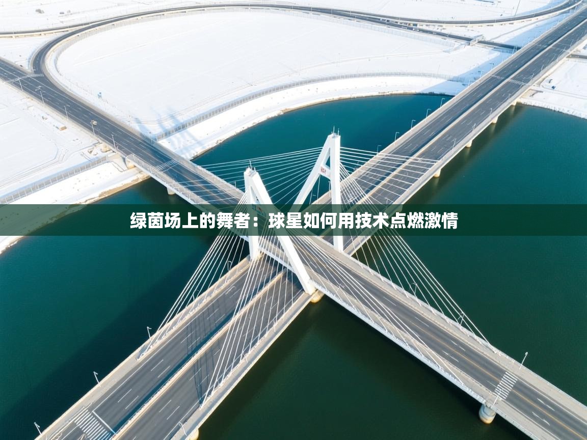 绿茵场上的舞者：球星如何用技术点燃激情  第2张